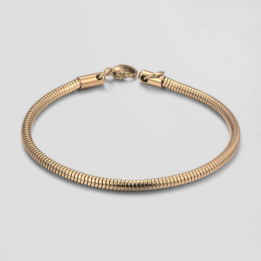 Snake Bracelet [Golden]