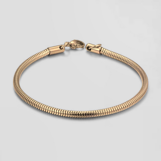 Snake Bracelet [Golden]